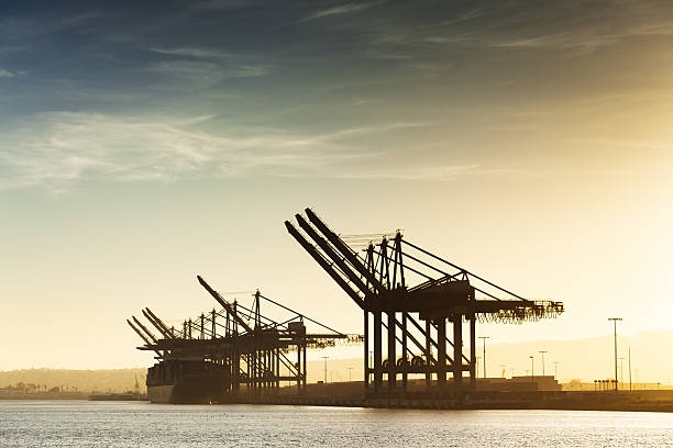 recipiente cranes en el puerto de los ángeles - los angeles county long beach california sunset fotografías e imágenes de stock