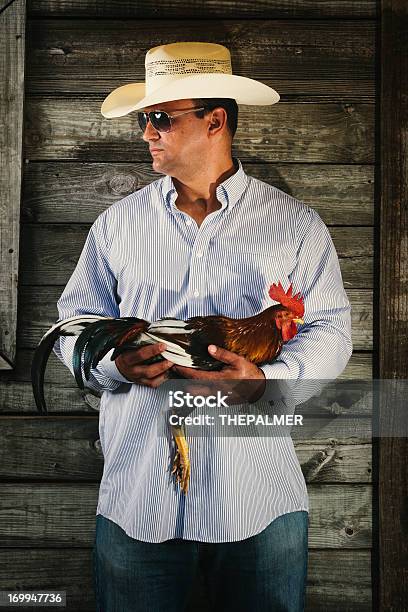 Agricultor Segurando Um Combate Galo - Fotografias de stock e mais imagens de Galo - Galo, Camisas, Adulto