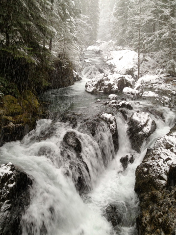 Winters stream flowing in the rain. Willamette National Forest, Oregon