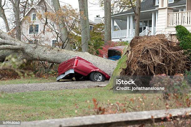 Powalone Drzewo Zburzony Czerwony Samochód W Huragan Sandy - zdjęcia stockowe i więcej obrazów Zniszczony - Zły stan