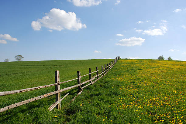 放牧場 - farm fence landscape rural scene ストックフォトと画像
