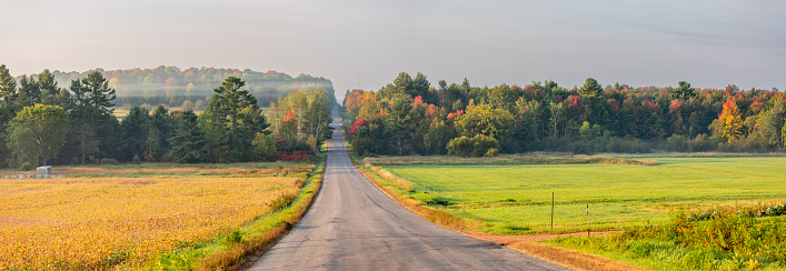 Fog coming off a Wisconsin forest next to a road and farmland in September, panorama