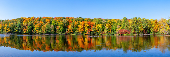 Reflection of a colorful forest in the Wisconsin River, panorama