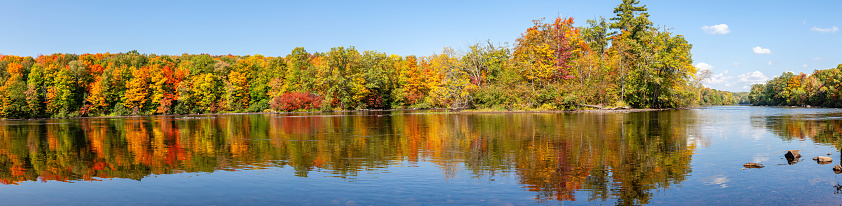 Reflection of a colorful forest in the Wisconsin River, panorama
