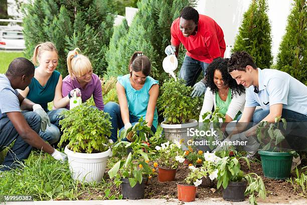 Gruppe Von Teenage Friends Garten Stockfoto und mehr Bilder von Gärtnern - Gärtnern, Teenager-Alter, Gemeinschaft