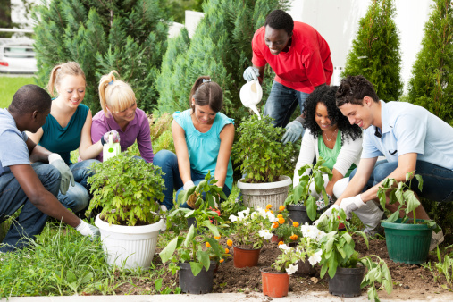 Cheerful friends are enjoying while gardening on a beautiful summer day.   