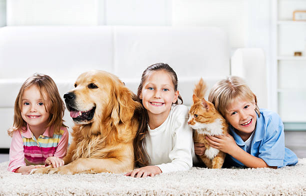 kinder und tiere liegen auf dem teppich - carpet floor lying down people stock-fotos und bilder