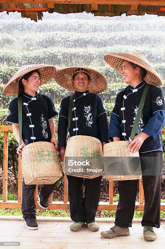 Tea Pickers Three tea pickers..Break time.. Agricultural Field Stock Photo