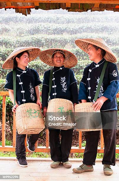 Tea Pickers Stock Photo - Download Image Now - Agricultural Field, Agriculture, Asia