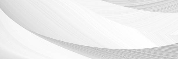 istock The gray and silver are light black with white the gradient is the Surface with templates metal texture soft lines tech gradient abstract diagonal background silver black sleek  with gray and white. 1699533375