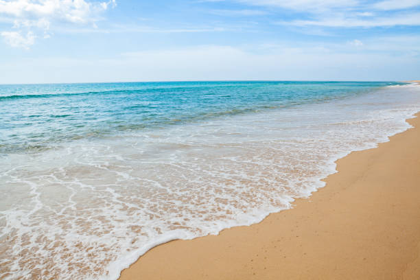 istock Wave of the sea on the sand beach. 1699536090