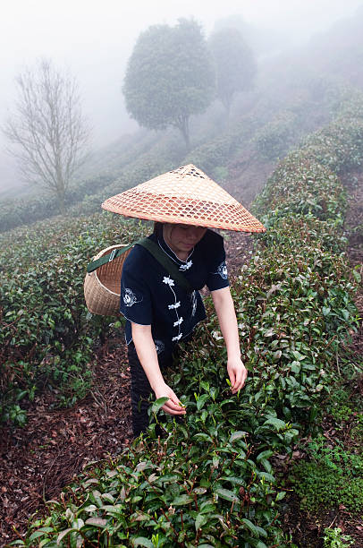 istock Chinese Girl 169953874