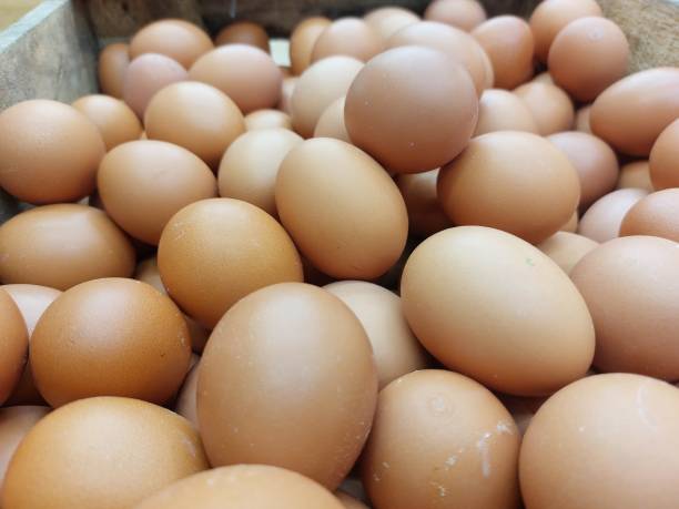 istock A batch of chicken eggs in a wooden box 1699549871
