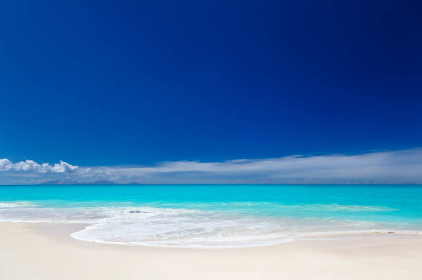 istock Clean White Caribbean Beach With Blue Sky 169955629