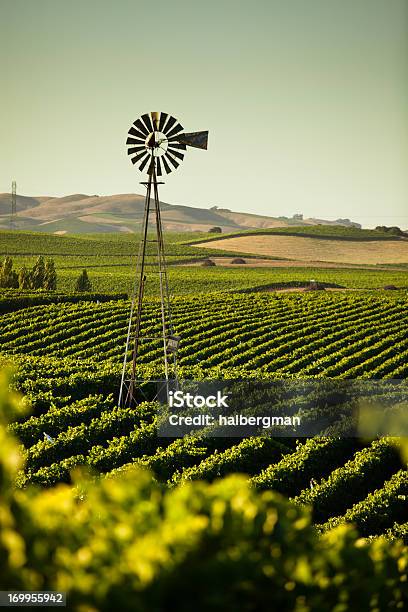 California Wine Country Stock Photo - Download Image Now - Farm, Sonoma County, California