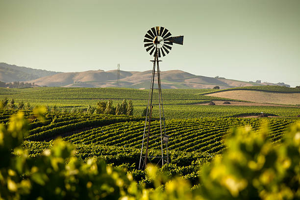 カリフォルニアのワインカントリー - windmill cultivated land crop day ストックフォトと画像