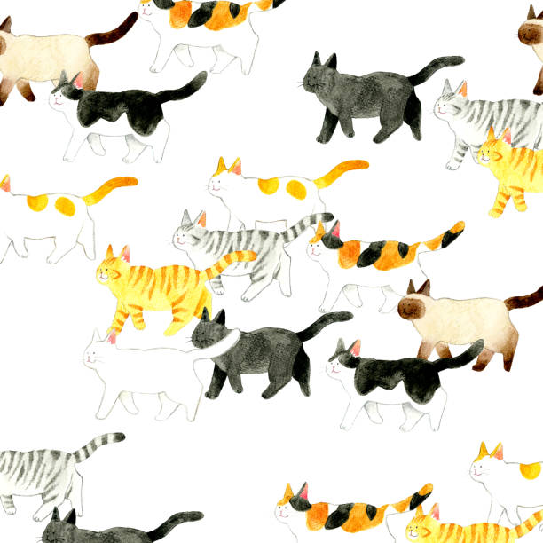 kuvapankkikuvitukset aiheesta söpö kissa kävelee taustaleikekuva. käsin piirrettyjä akvarellikuvia eläimistä. - siamese cat