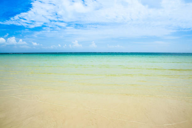 istock beautiful sea and sand 1699570415
