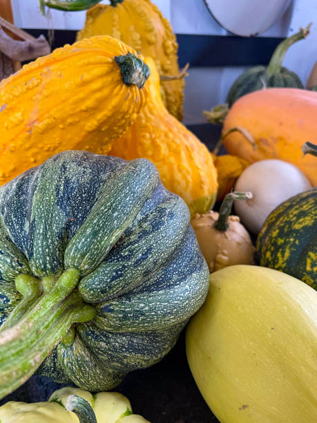istock Close up of Assorted Autumn Squash and Pumpkins 1699581234