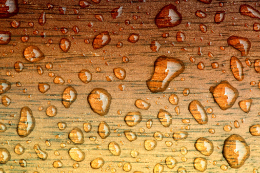 rain drop on wooden