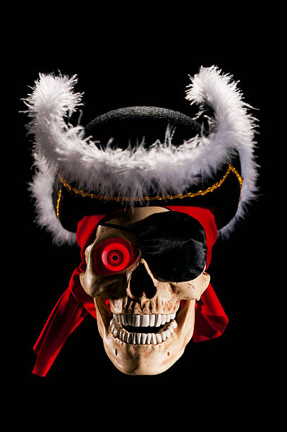 istock Pirate Skull wearing a Tricorn hat 169958699