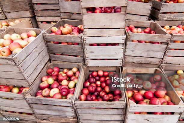 Klatki Z Jabłek - zdjęcia stockowe i więcej obrazów Jabłko - Jabłko, Skrzynia, Owoc