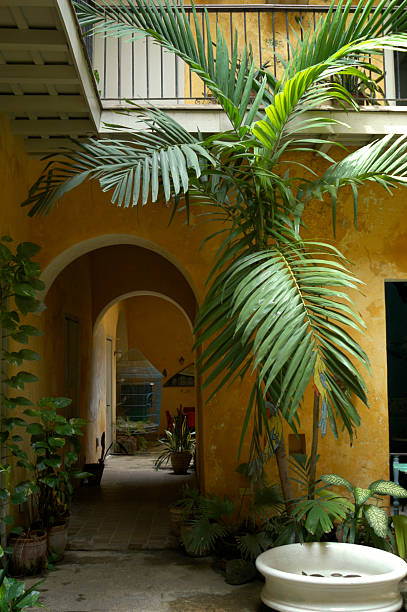 istock Yellow Colonial Courtyard in Havana 169962954