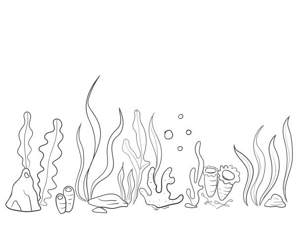 dunia bawah laut dengan terumbu karang dan rumput laut di laut - seascape ilustrasi stok