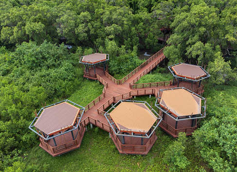 Aerial view of red wooden bridge walkway leads straight out of the mangrove forest, Rayong, Thailand