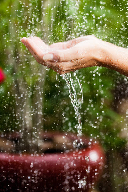 primer plano de manos en la selva tropical. - rain monsoon rainforest storm fotografías e imágenes de stock