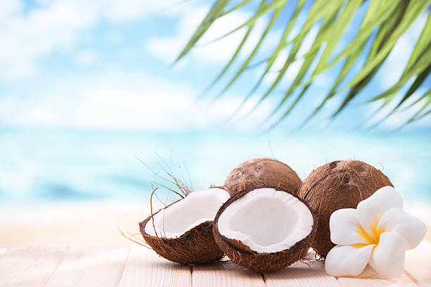 Coconuts on the beach with copy space Coconuts on the beach with copy space tropical flower photos stock pictures, royalty-free photos & images