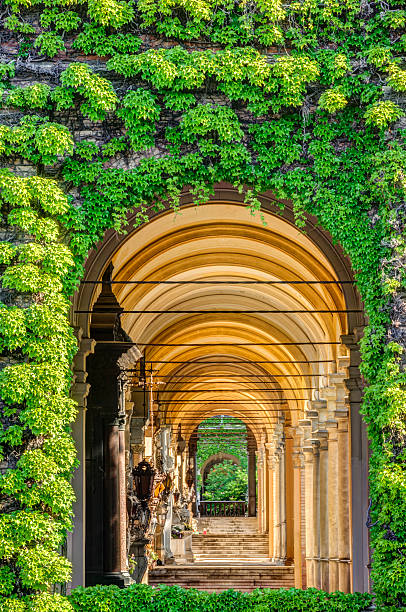 istock Passageway of stairs and arches. 169969037