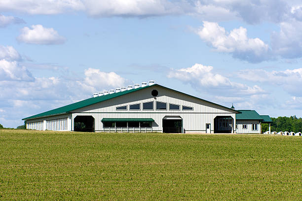 New Dairy Barn New green and white modern style dairy barn with calf hutches off to the side. dairy farm photos stock pictures, royalty-free photos & images