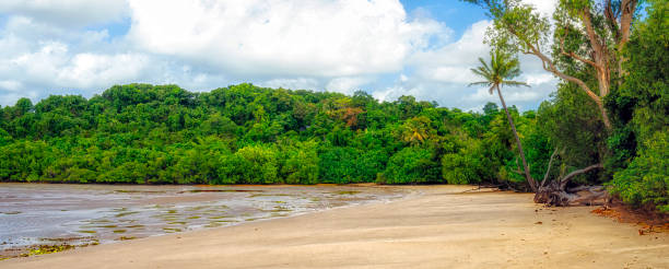 istock Mission Beach Queensland Tropical Australia 1699716284