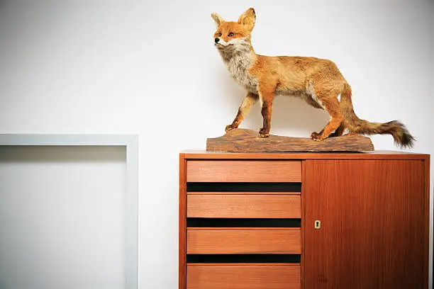 Photo of decorative fox