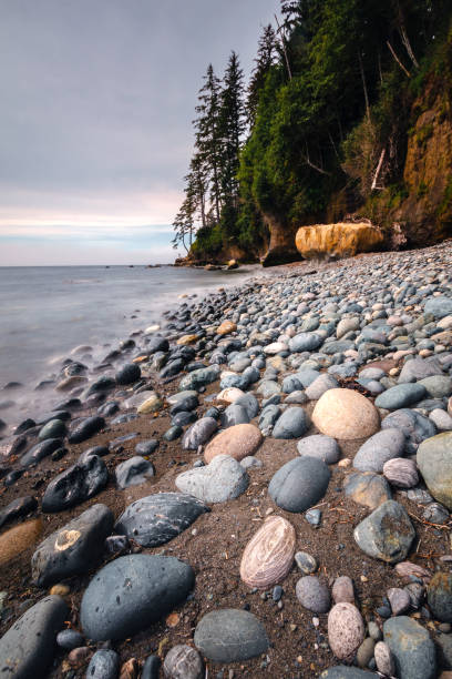 Chin Beach located along the Juan De Fuca Trail.