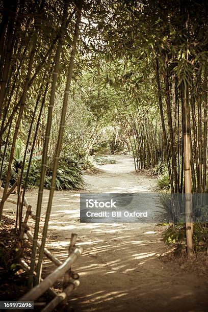Photo libre de droit de Forêt De Bambous banque d'images et plus d'images libres de droit de Bambou - Bambou, Jardin classique, Jardin modèle