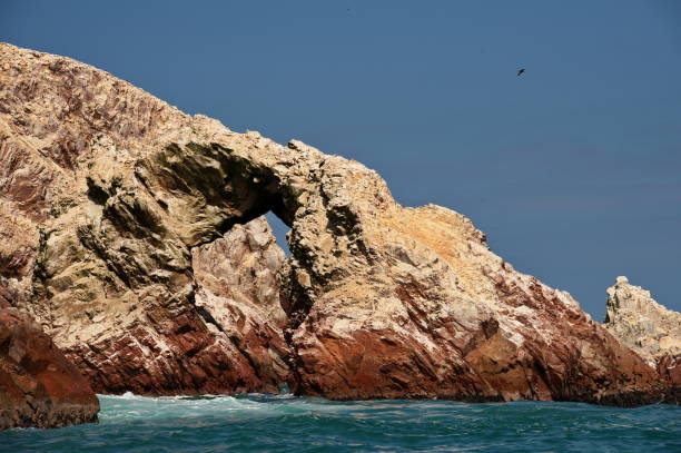 istock Beautiful rocks on Ballestas island 1699735313