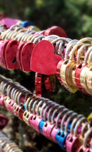 istock Padlocks in shape of heart on rope bridge 1699738896