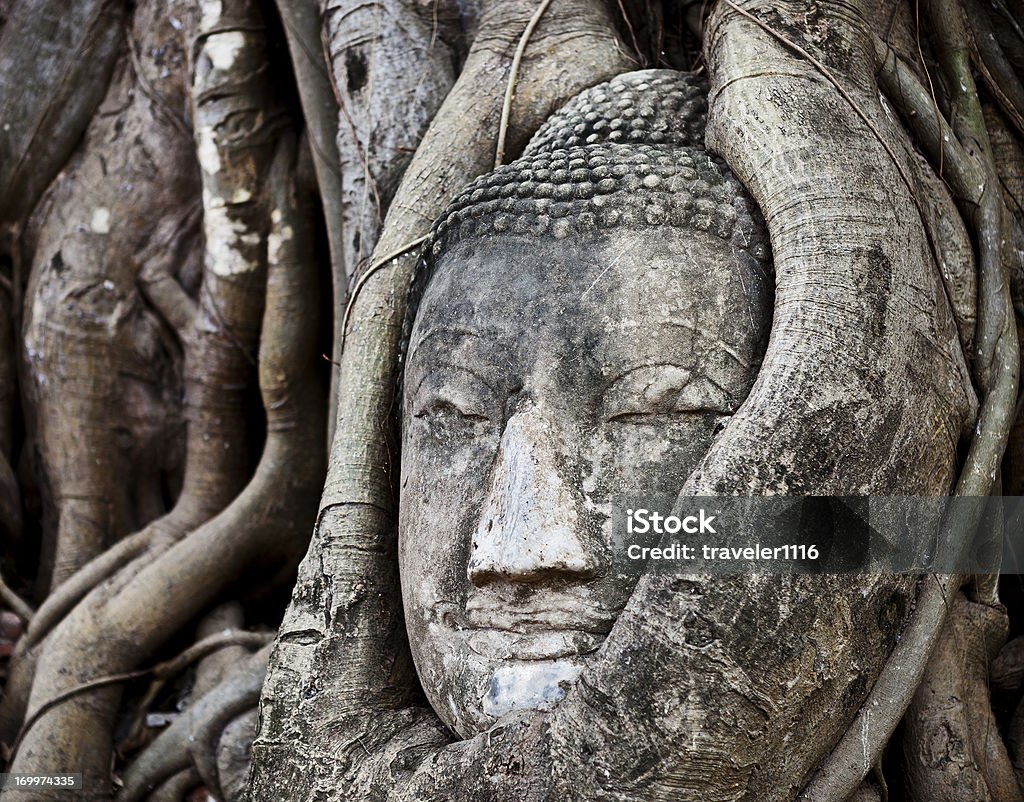 Budda Głowa Owinięty w drzewo - Zbiór zdjęć royalty-free (Antyczny)
