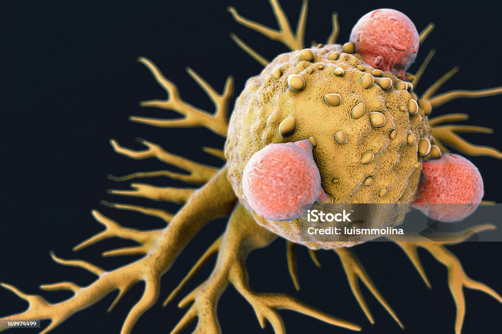 T 림프구 및 게자리 세포 - 로열티 프리 암세포 스톡 사진