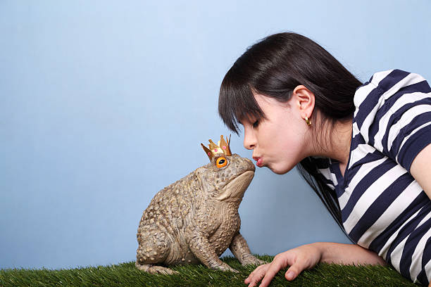My prince! Warty toad about to get a kiss from a beautiful girl. ugly animal stock pictures, royalty-free photos & images