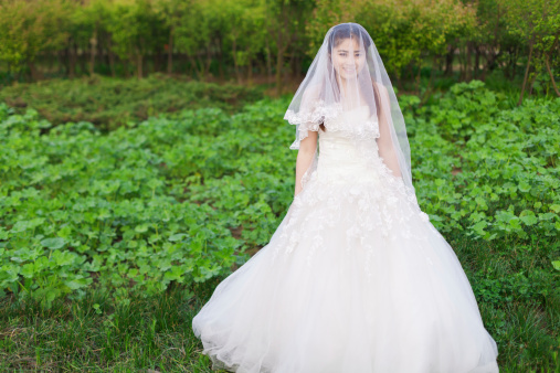 The Chinese bride standing in the field with veil