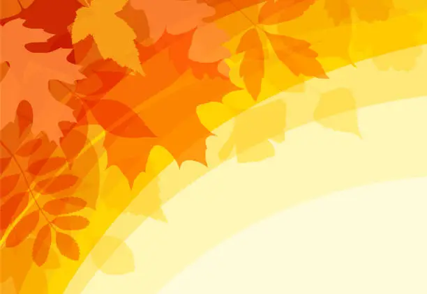 Vector illustration of Autumn background with leaves