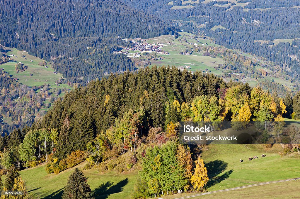 Automne dans les Alpes suisses - Photo de Fleuve Rhin libre de droits
