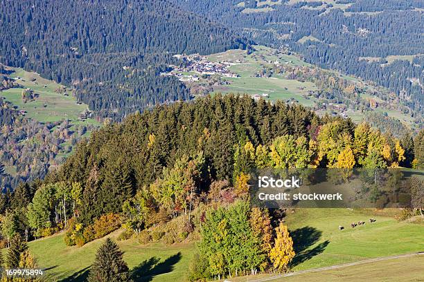 Outono Nos Alpes Suíços - Fotografias de stock e mais imagens de Floresta - Floresta, Rio Reno, Agricultura