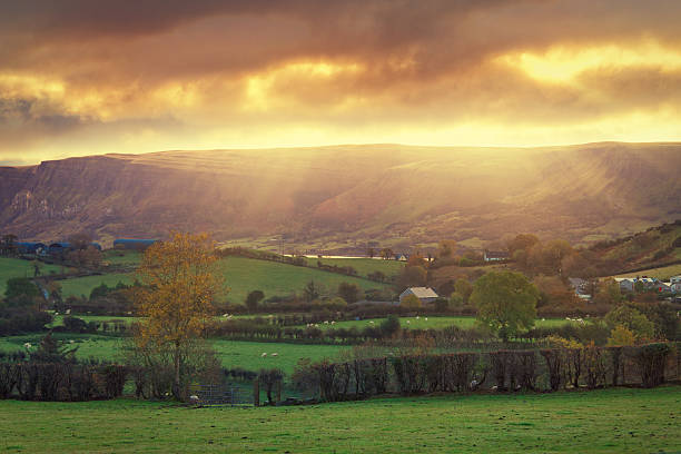 countryside sunrise Sunrise, location: Glenariff, County Antrim, Northern Ireland, UK glenariff photos stock pictures, royalty-free photos & images