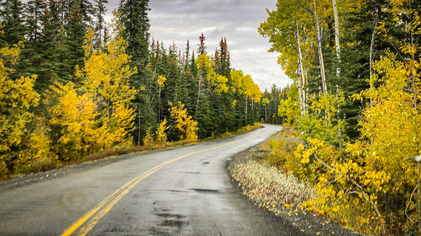 istock Roadway view in the interior of Alaska in fall 1699793716
