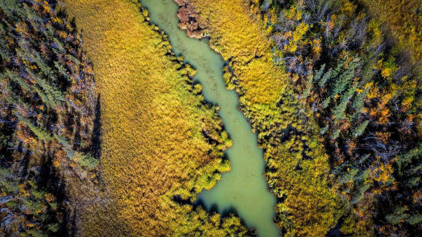 ponto de vista de drone sobre águas de gelo glacial no interior do alasca - 5563 - fotografias e filmes do acervo