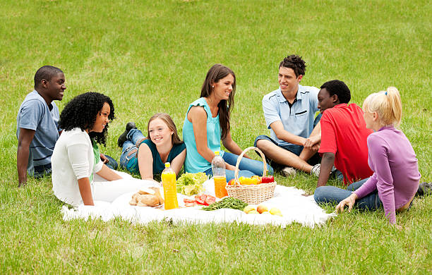 istock Group of friends having a picnic in park. 169980411